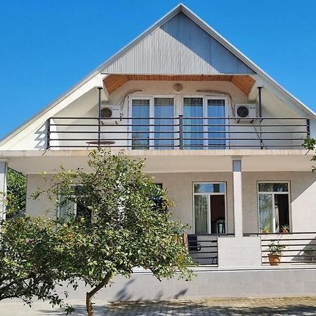 فندق David Dali House باتومي المظهر الخارجي الصورة
