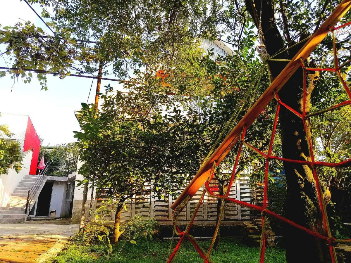 فندق David Dali House باتومي المظهر الخارجي الصورة